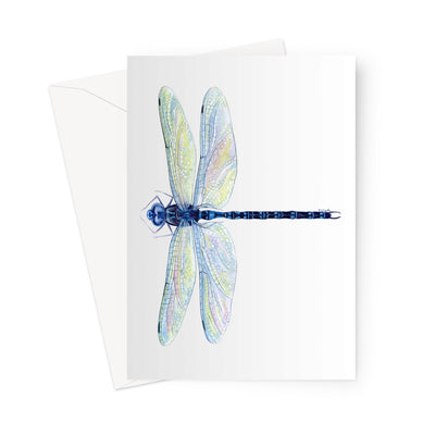 Spatterdock Darner Dragonfly Greeting Card