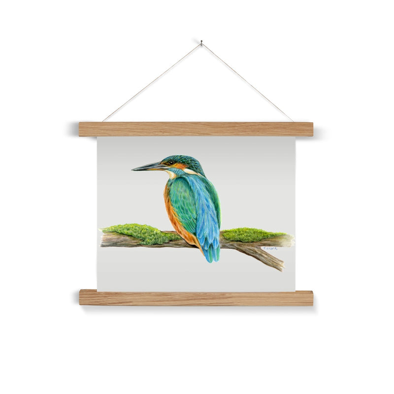 Kingfisher Fine Art Print with Hanger