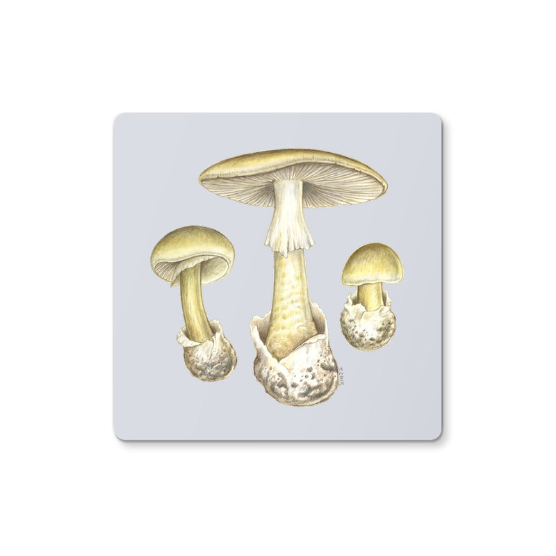 Deathcap Mushroom Coaster