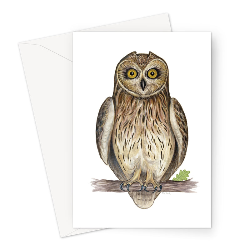 Short-eared Owl Greeting Card