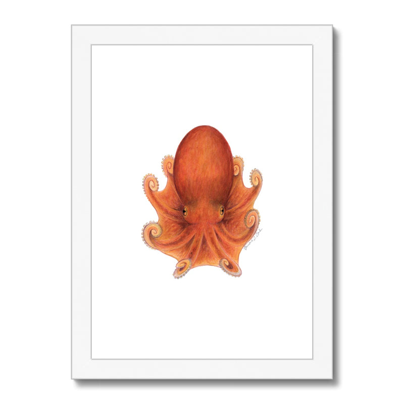 Northern Octopus Framed & Mounted Print
