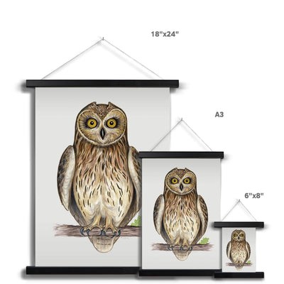Short-eared Owl Fine Art Print with Hanger