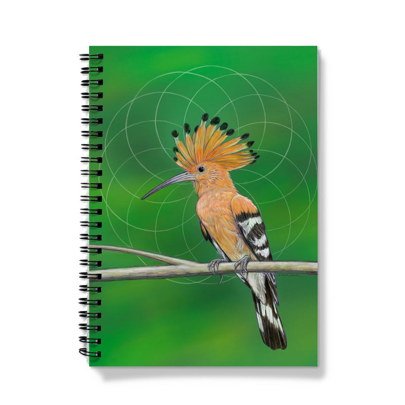 Eurasian Hoopoe Notebook