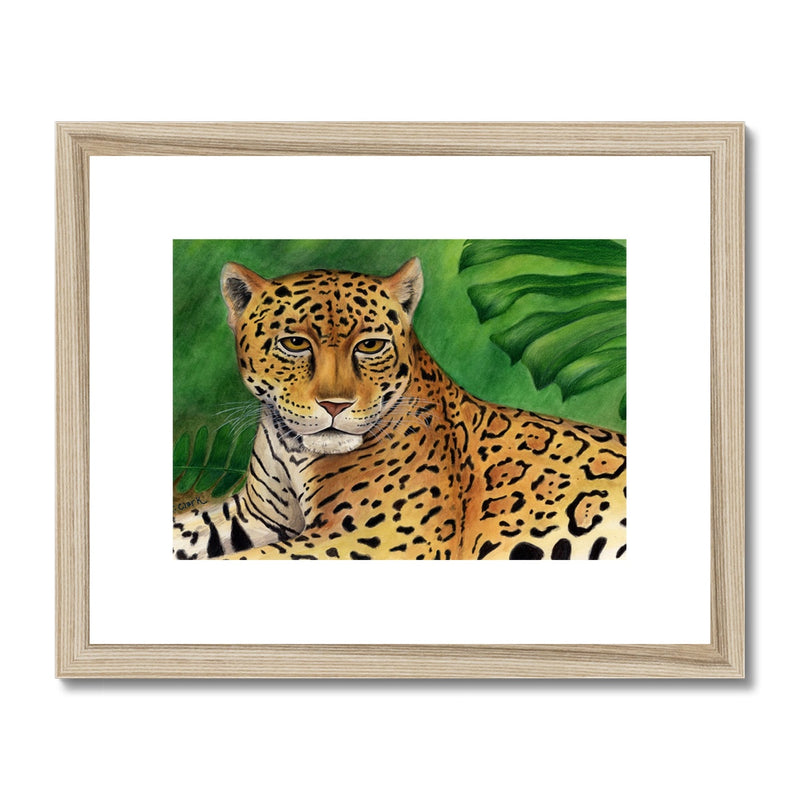 Jaguar Framed & Mounted Print