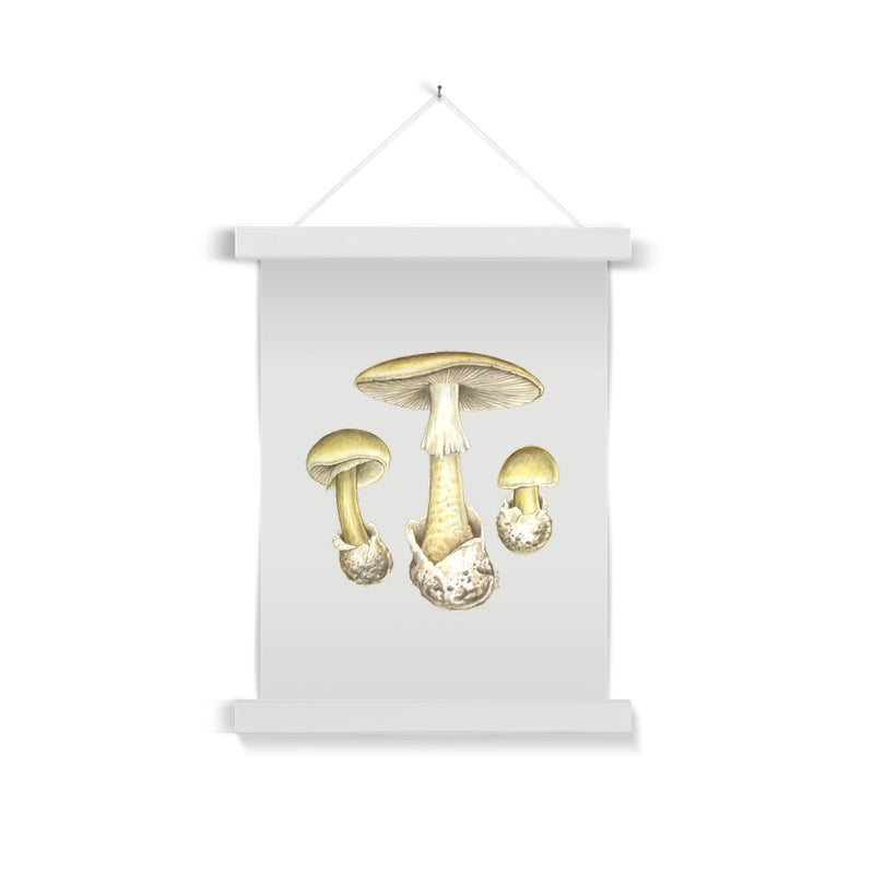 Deathcap Mushroom Fine Art Print with Hanger