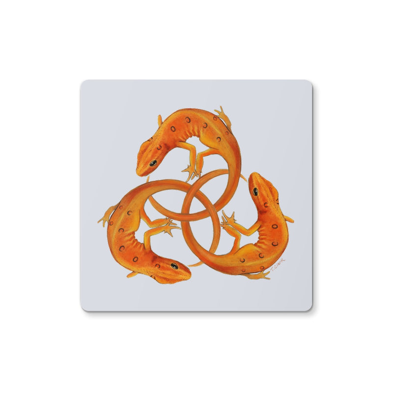 Red Spotted Newt Coaster