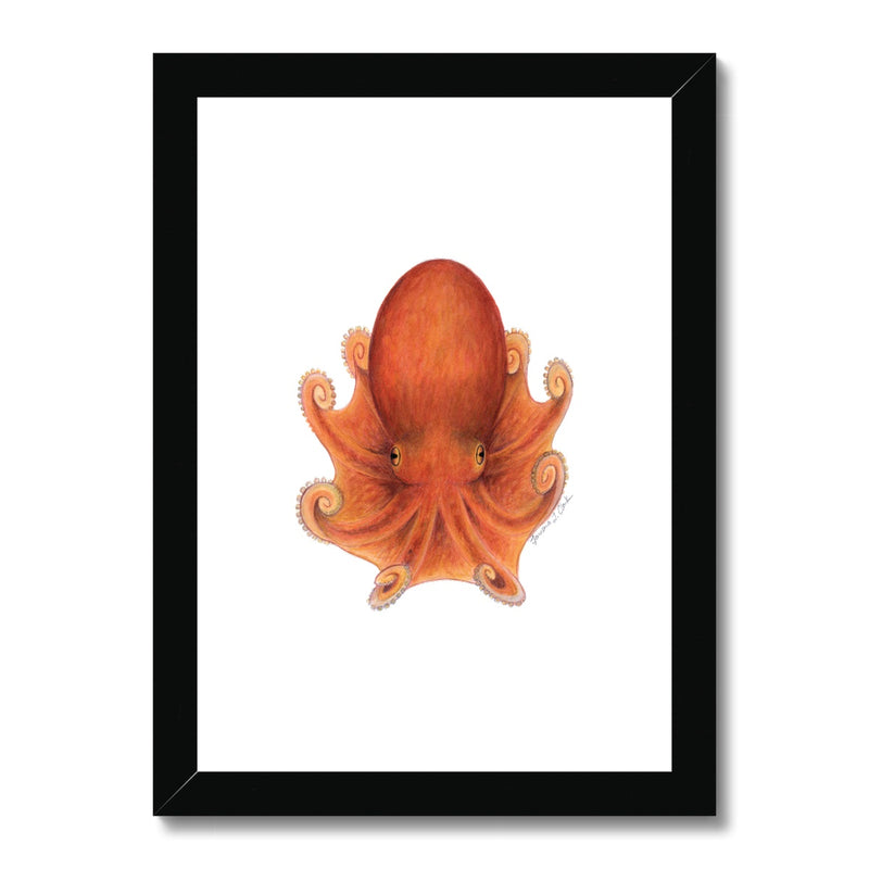 Northern Octopus Framed & Mounted Print