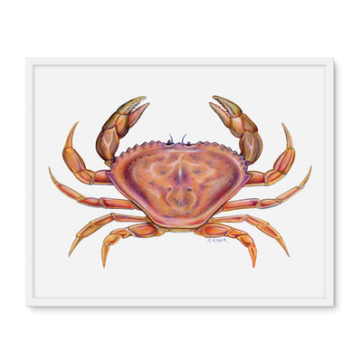 Dungeness Crab Framed Photo Tile