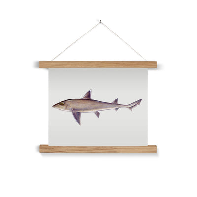 Smooth Dogfish Fine Art Print with Hanger