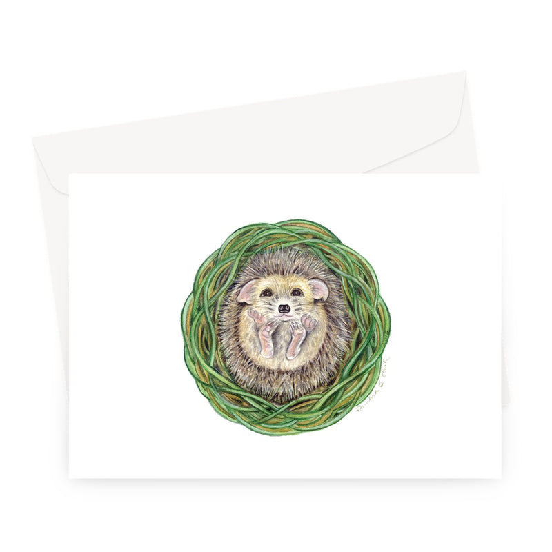 Hedgehog  Greeting Card