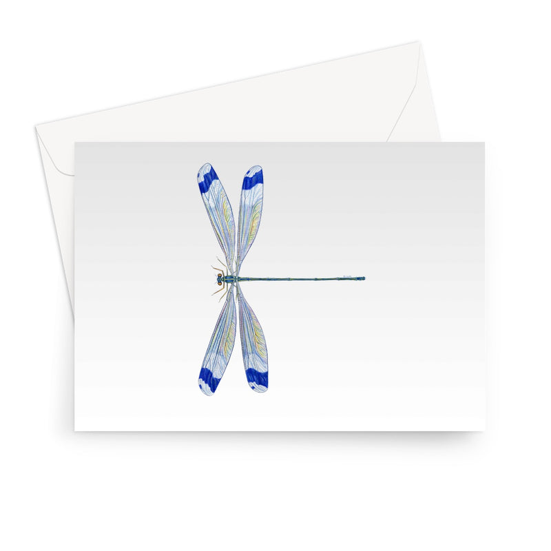 Helicopter Damselfly Greeting Card