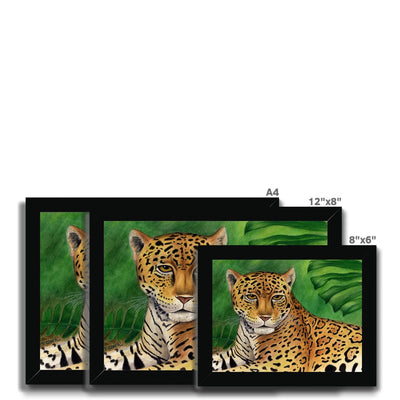 Jaguar Framed Print