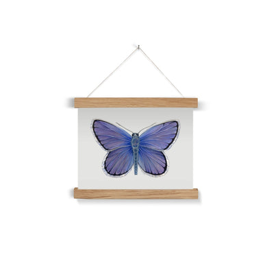 Karner Blue Butterfly Fine Art Print with Hanger