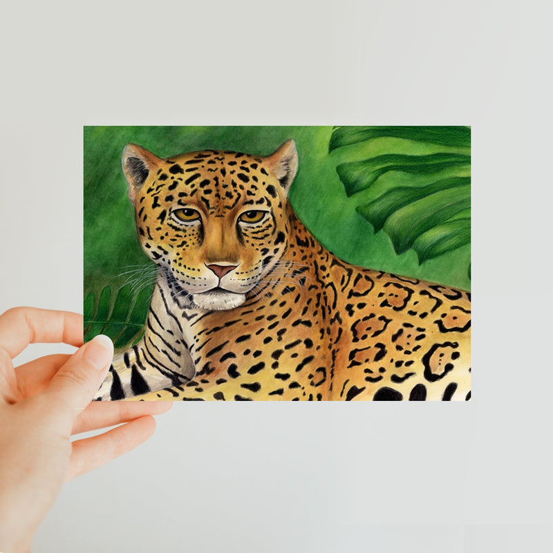 Jaguar Classic Postcard