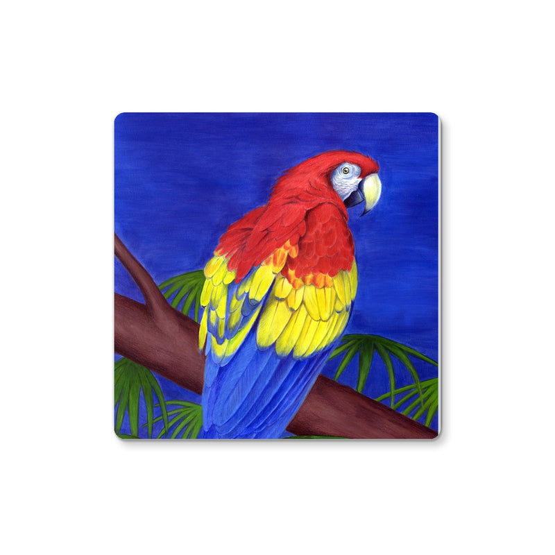 Scarlet Red Macaw Coaster