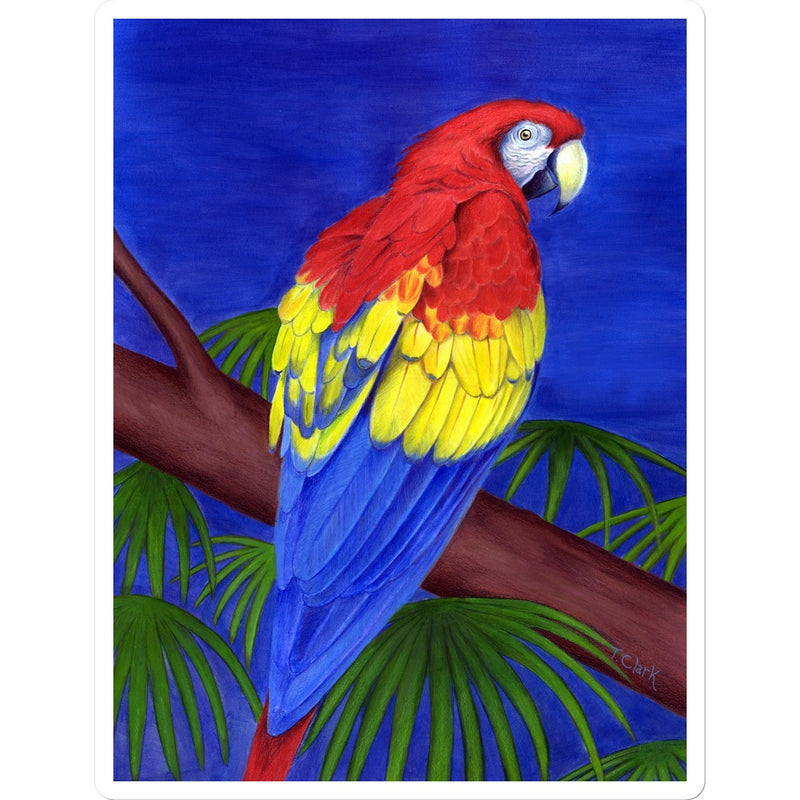 Scarlet Red Macaw Sticker