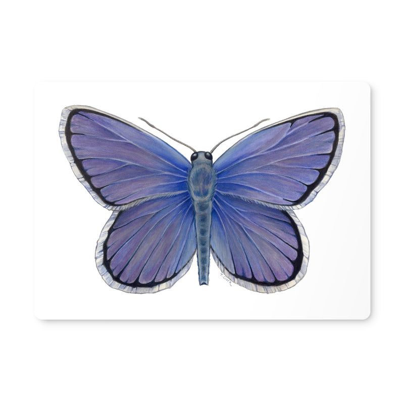 Karner Blue Butterfly Placemat