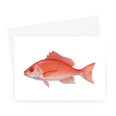 Red Snapper Greeting Card