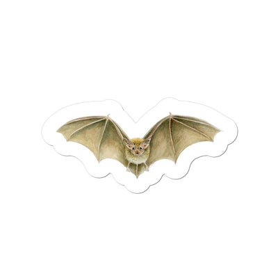 Daubenten's Bat Sticker