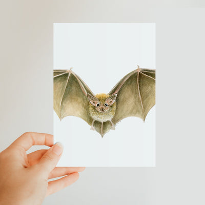 Daubenten's Bat Classic Postcard