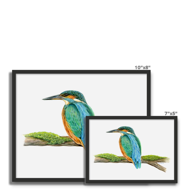 Kingfisher Framed Photo Tile