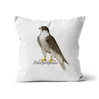 Peregrine Falcon Cushion