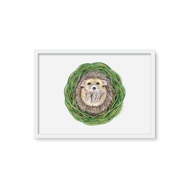 Hedgehog  Framed Photo Tile
