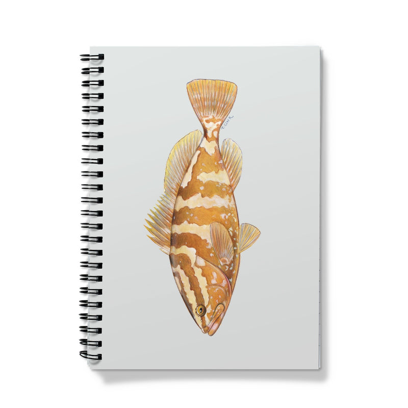 Grouper Notebook