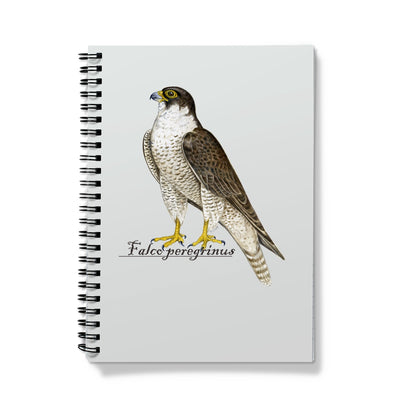 Peregrine Falcon Notebook