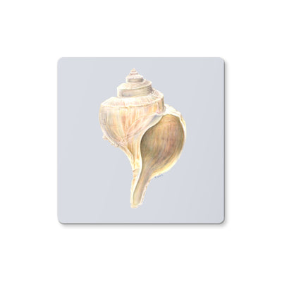 Whelk Coaster