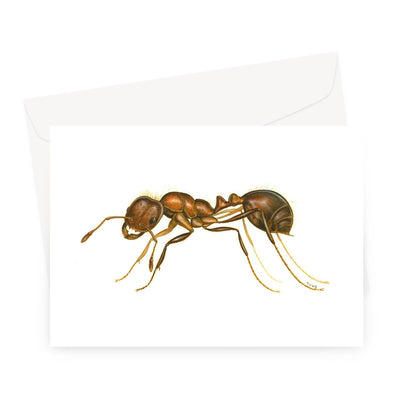 Fire Ant Greeting Card