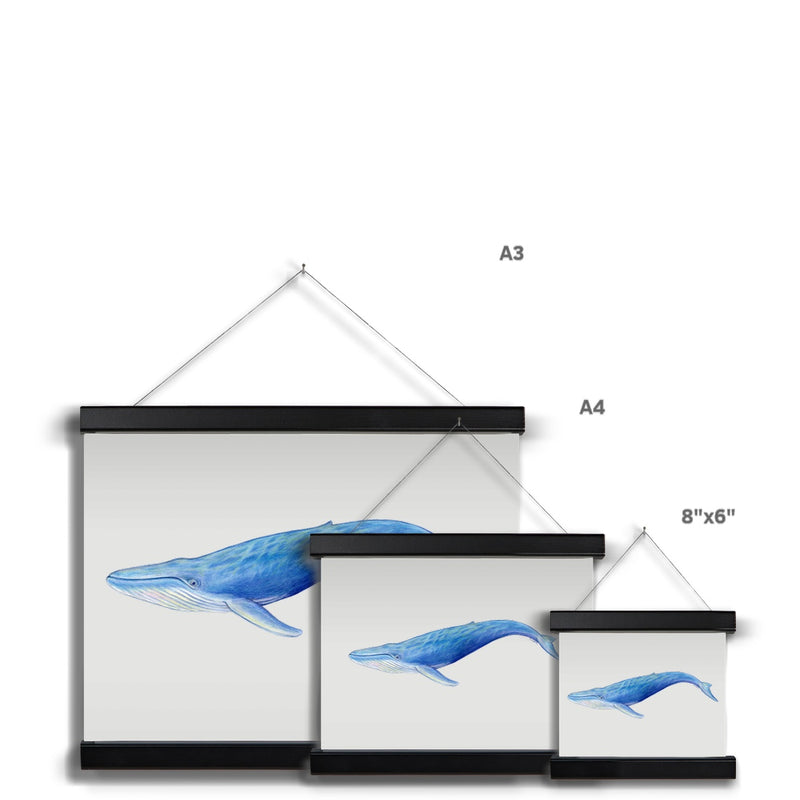 Blue Whale Fine Art Print with Hanger