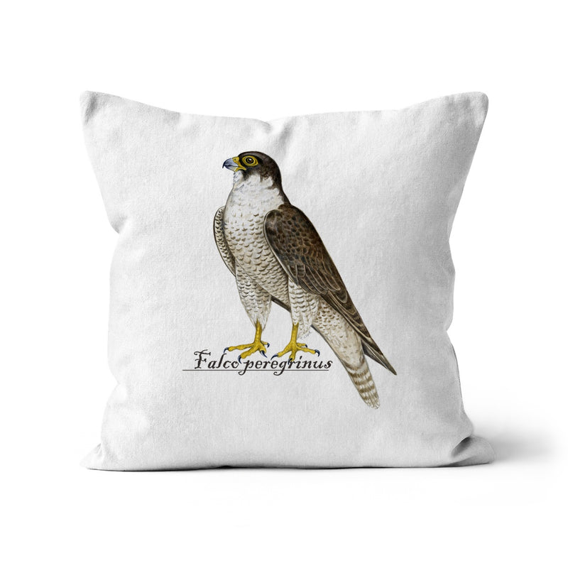 Peregrine Falcon Cushion