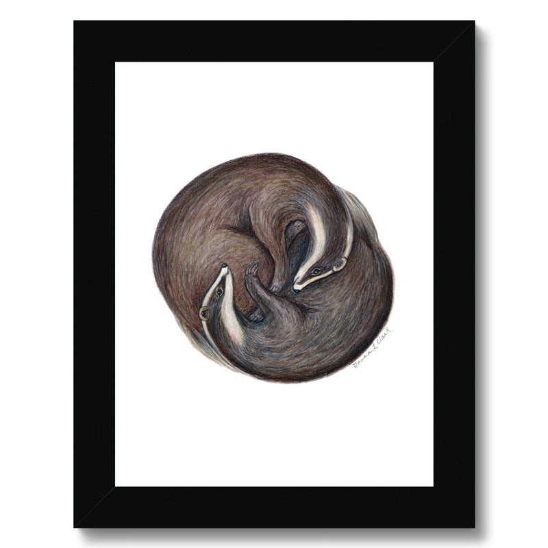 Yin Yang Badgers Framed Print