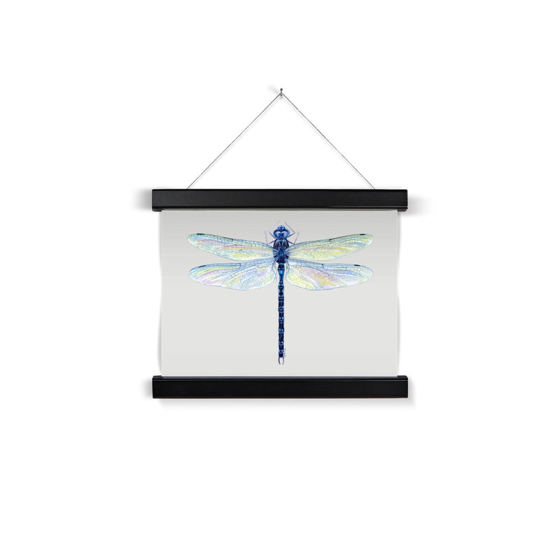 Spatterdock Darner Dragonfly Fine Art Print with Hanger