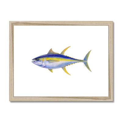 Yellowfin Tuna Framed & Mounted Print