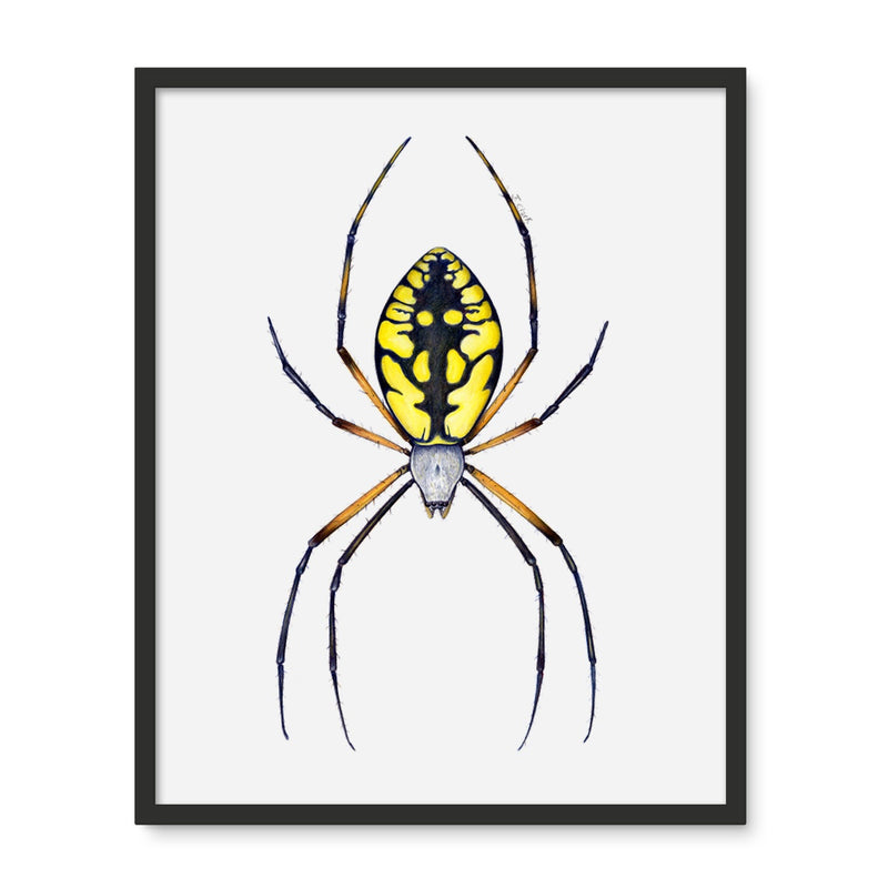 Argiope Spider Framed Photo Tile