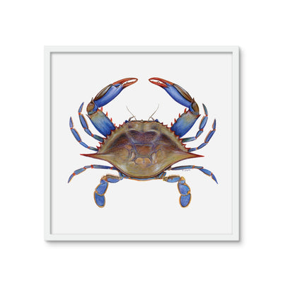 Blue Crab Framed Photo Tile