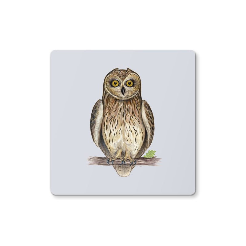 Short-eared Owl Coaster