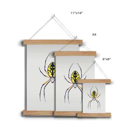 Argiope Spider Fine Art Print with Hanger