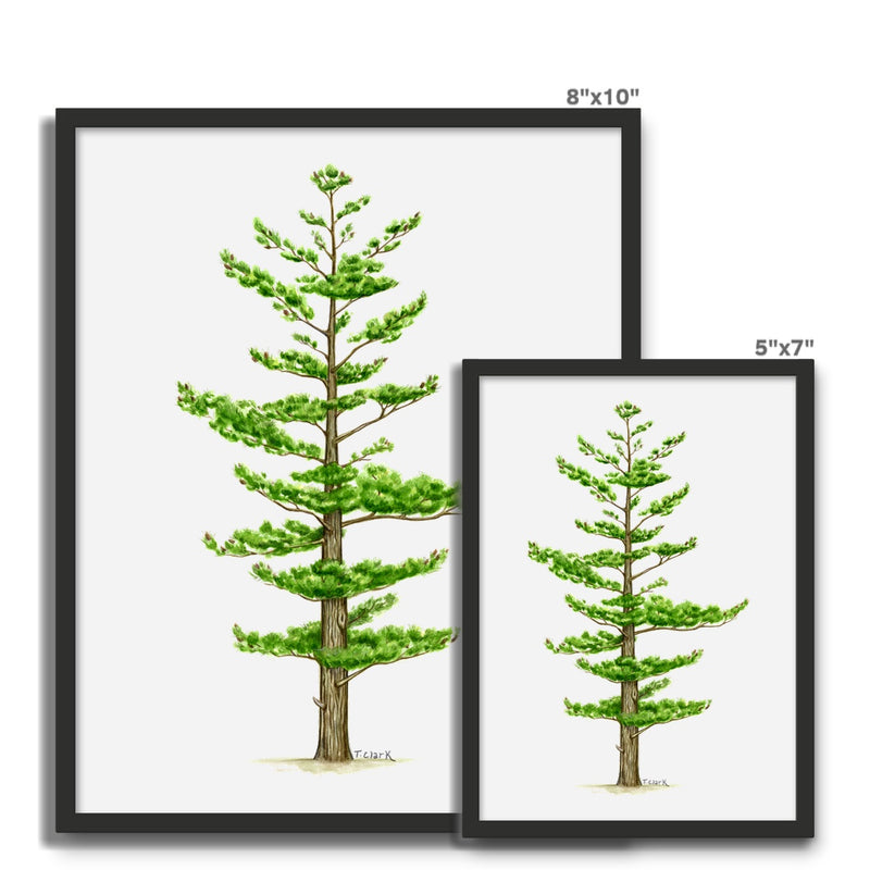 White Pine Framed Photo Tile