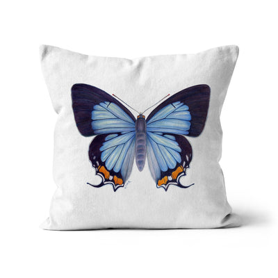 Imperial Blue Butterfly Cushion