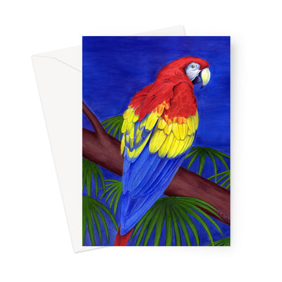 Scarlet Red Macaw Greeting Card