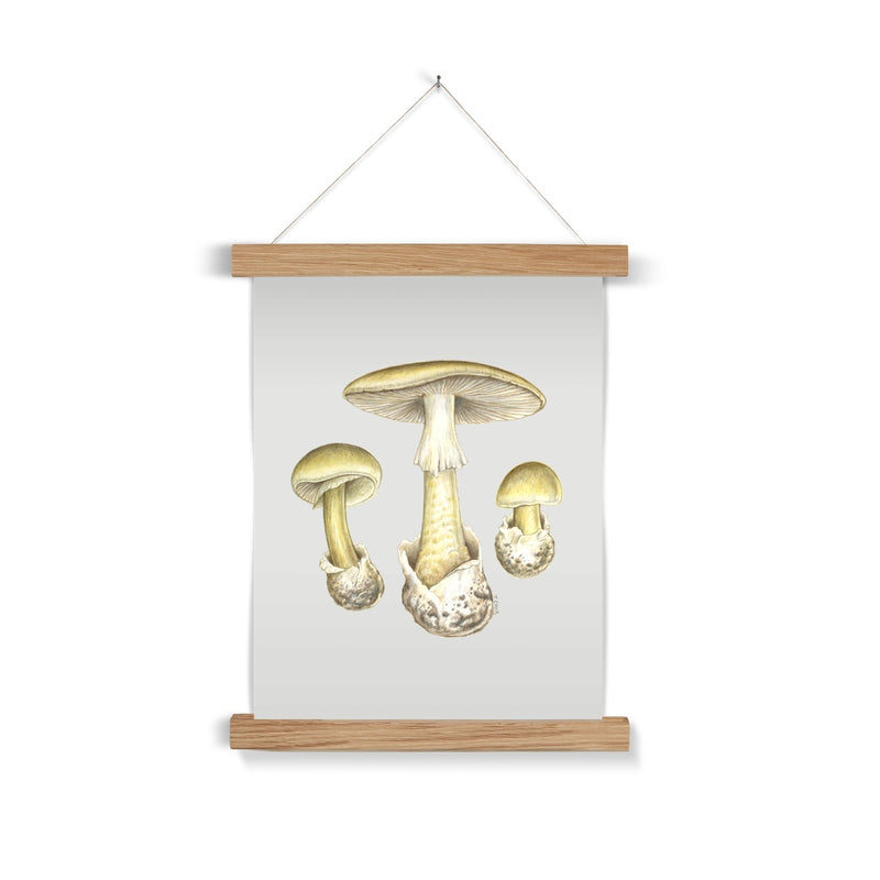 Deathcap Mushroom Fine Art Print with Hanger