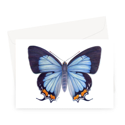 Imperial Blue Butterfly Greeting Card