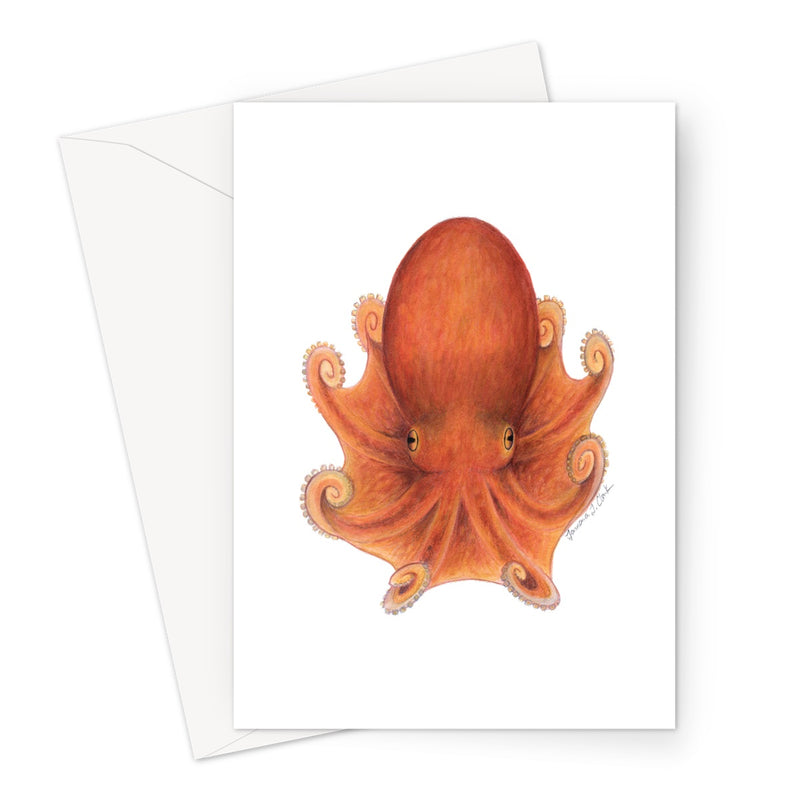 Northern Octopus Greeting Card