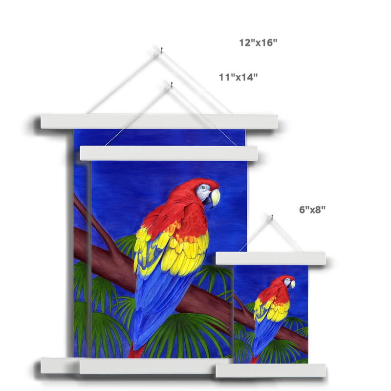 Scarlet Red Macaw Fine Art Print with Hanger