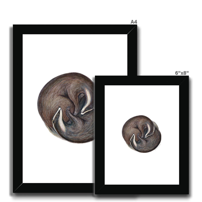 Yin Yang Badgers Framed & Mounted Print