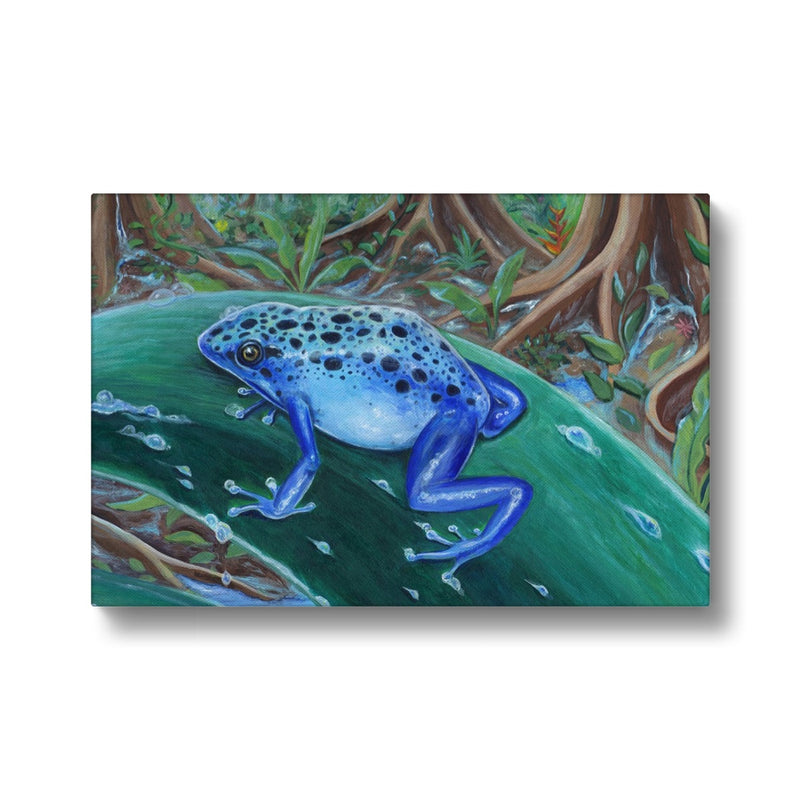Blue Poison Dart Frog Canvas