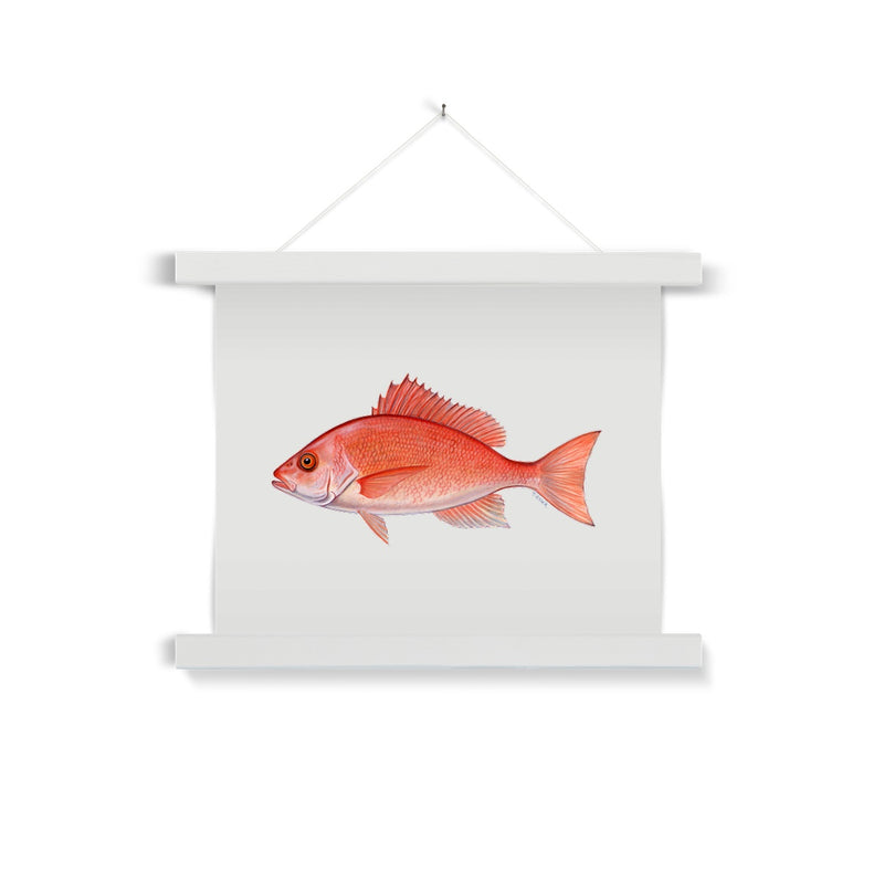 Red Snapper Fine Art Print with Hanger